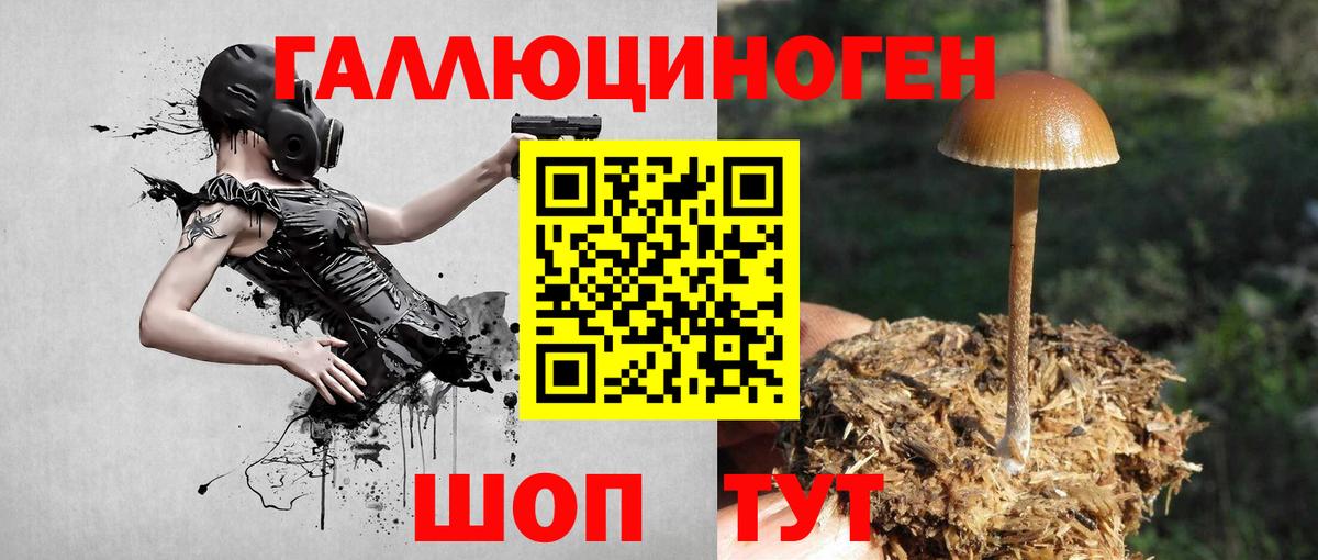 Первоуральск  Псилоцибиновые грибы прущие грибы  Галлюциногенные грибы прущие грибы  Вход с VPN 