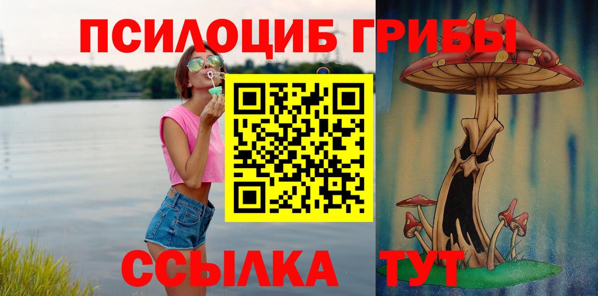 Псилоцибиновые грибы Psilocybine cubensis Первоуральск